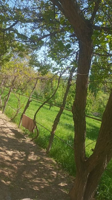 Прадаю дом с садом сад болшой