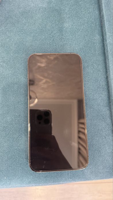 iPhone 13 Pro Max 1Tb