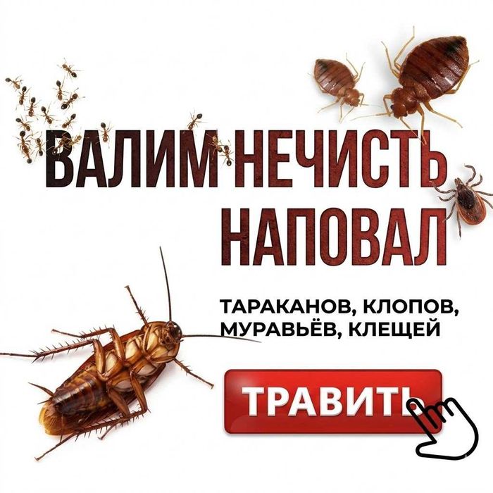 Дезинфекция от клопов, тараканов, блох! Гарантия, Результат 100%