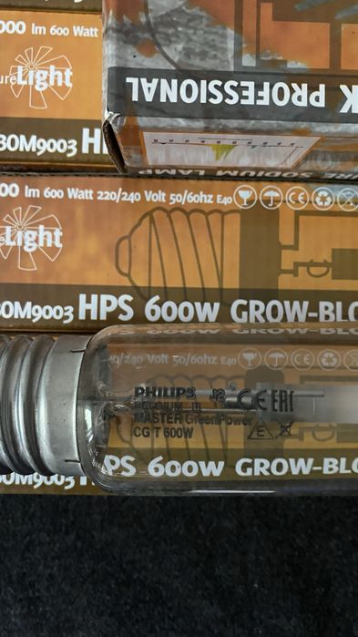 bec philips hps 600 W
