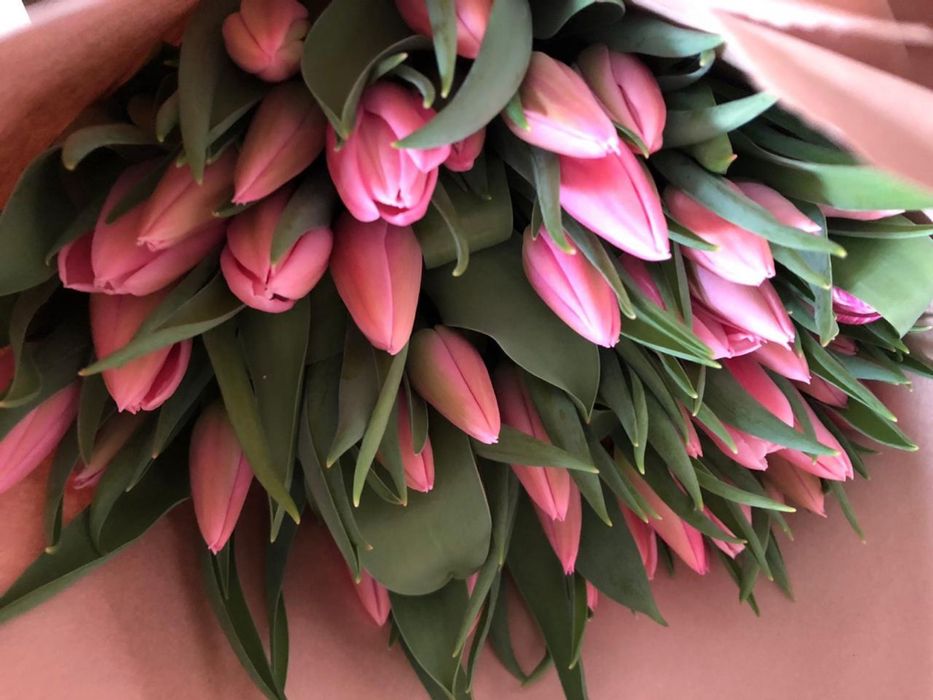 Тюльпаны оптом 420тг