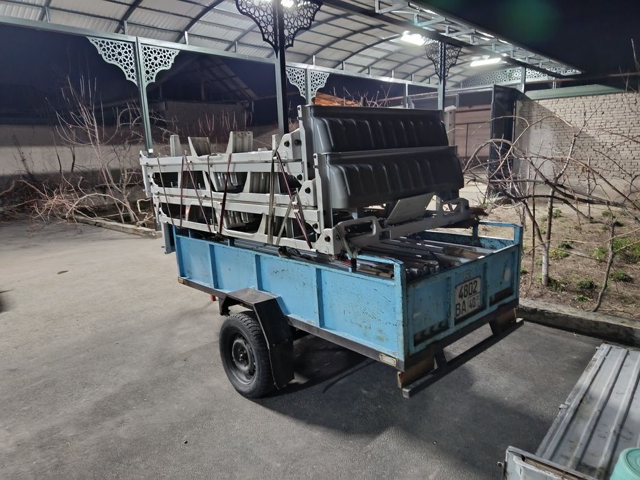 ЯНГИ лабо пол ва ботр