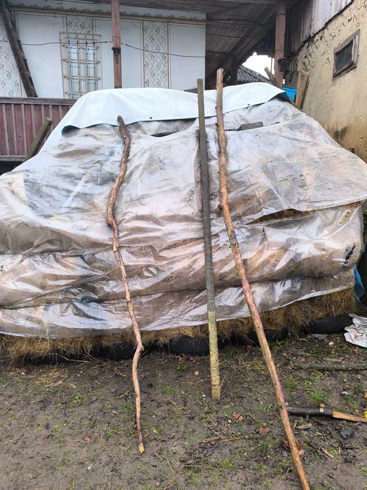 Fân și otavă de vanzare