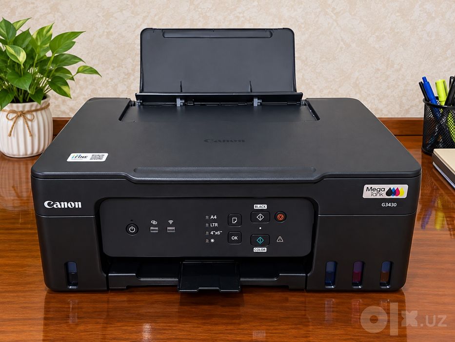Printer, Canon3430