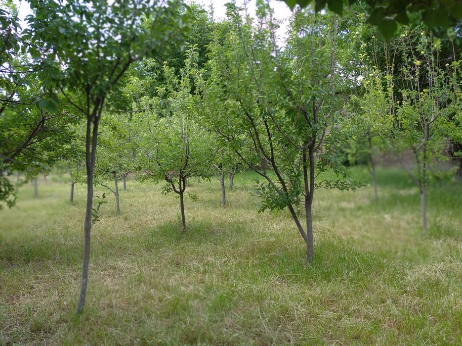 Срочно продам земельный дом в хорошем месте. Шочилинч уй жой сотилади.