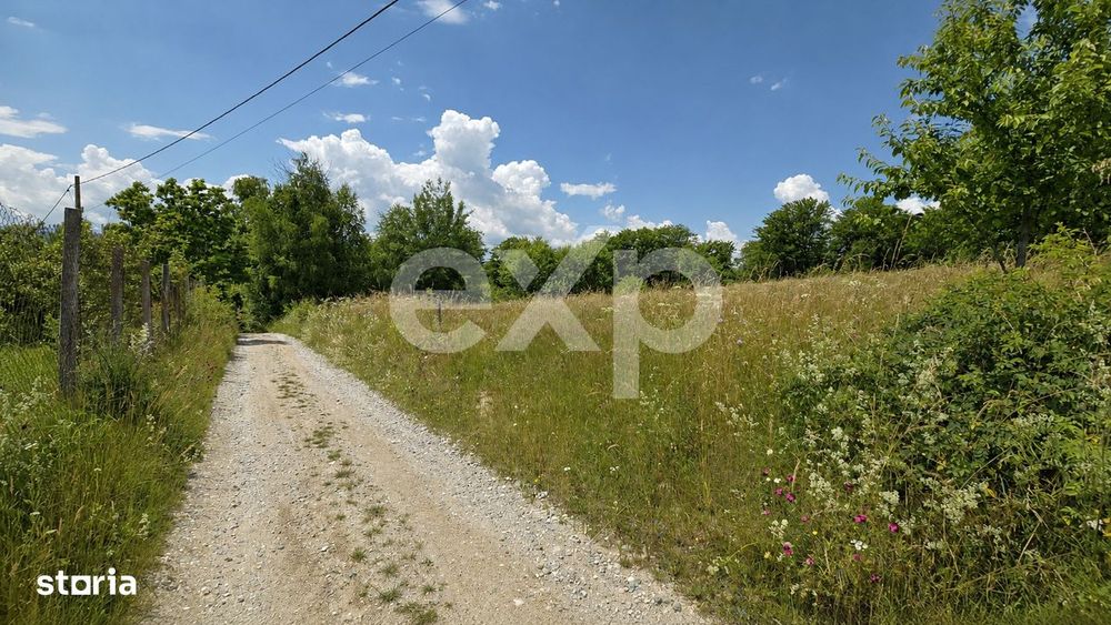 Teren cu potential de dezvoltare imobiliara cu panorama