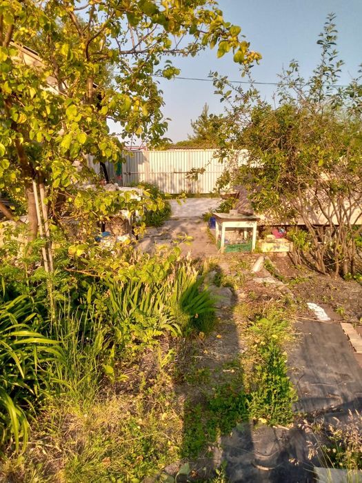 Продам дачу возле Новопавловки.