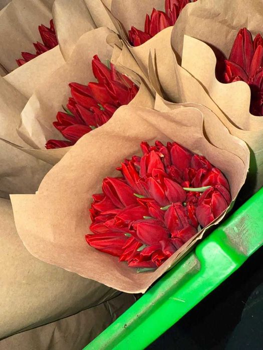 Тюльпаны напрямую с Теплиц Казахстана