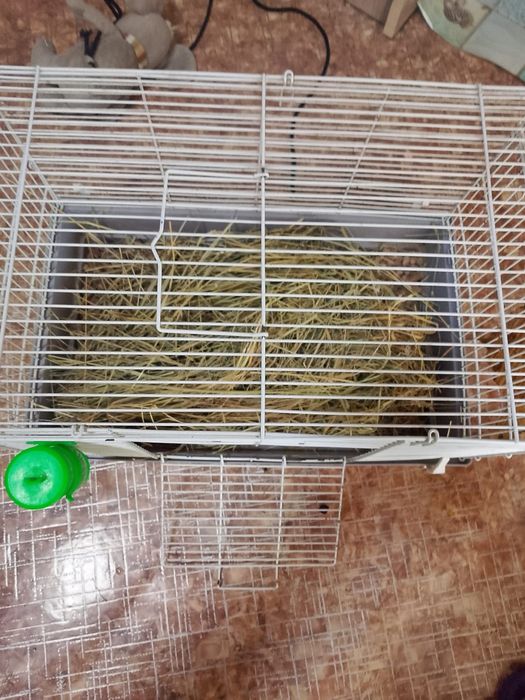 Продам клетку для морской свинки