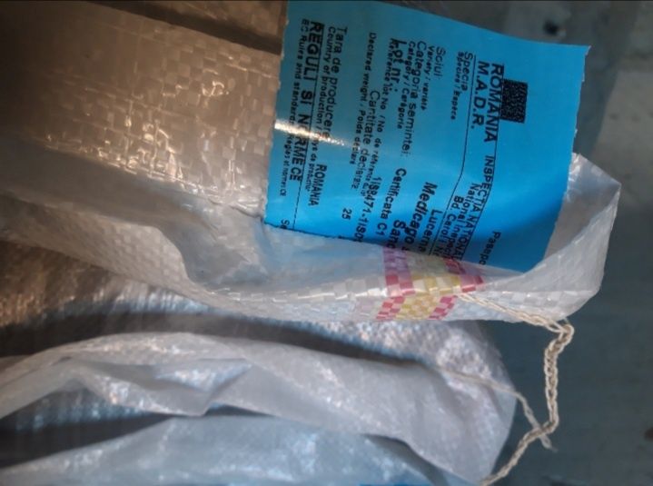 Samamanta Lucerna Certificata rec 2025