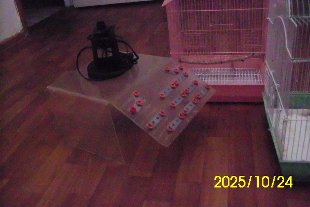 Клетки для попугаев.