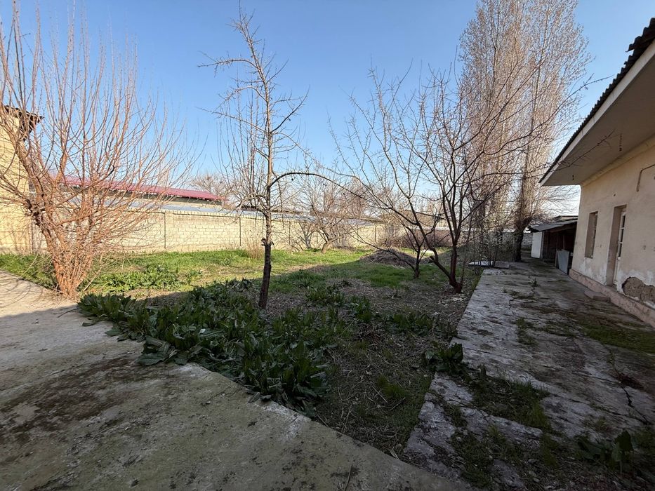 8,8 соток по цене квартиры в Зангиатинском районе