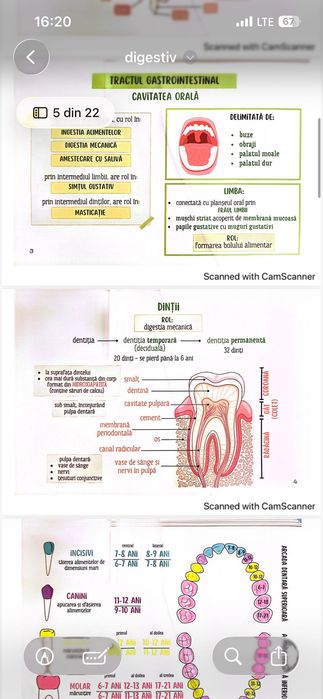 Flashcard-uri Barrons PDF