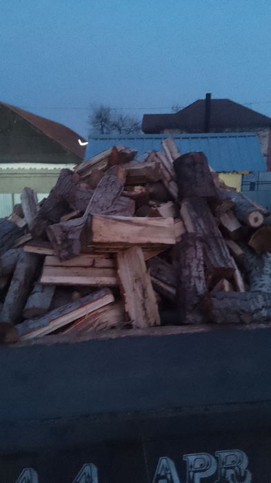 Дрова карагач продаю