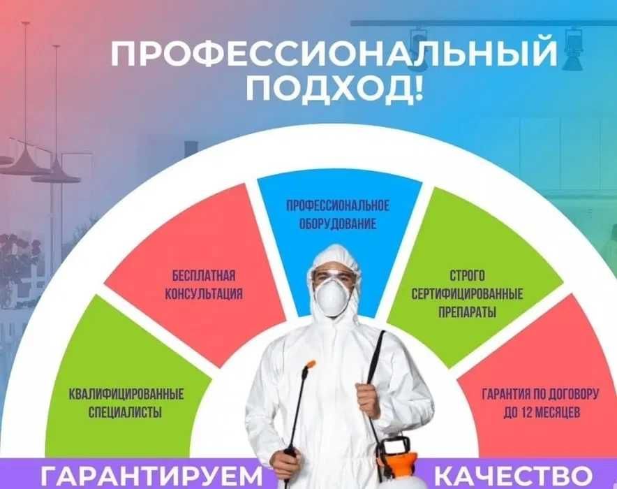 Профессиональное уничтожение насекомых