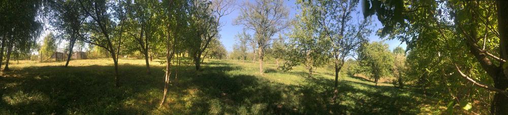Teren intravilan de vanzare in Drajna de Sus