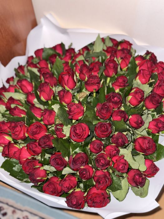 цветы красные розы 101