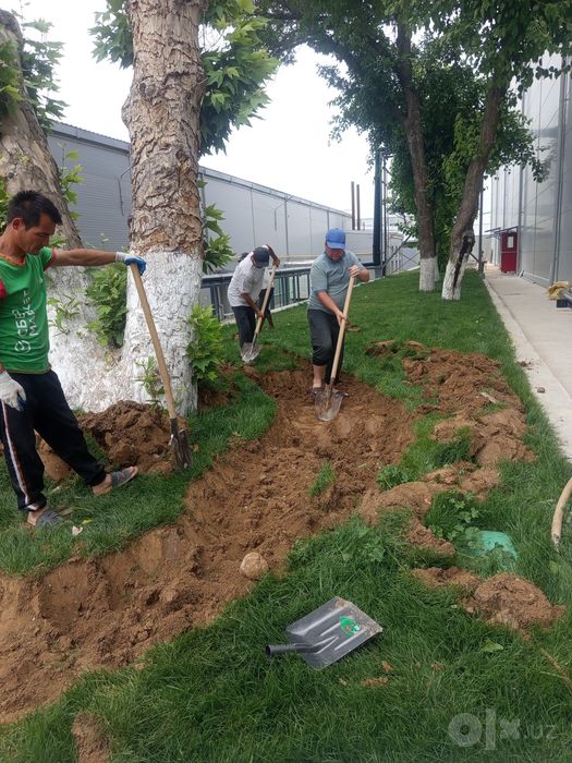 Beton kesish eshik,  fortichka  ,teshish perfrator ishlari ,