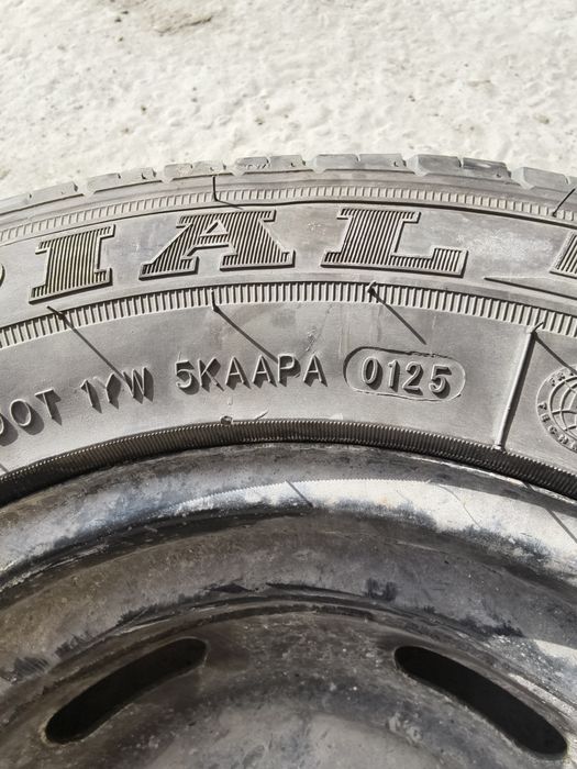 Damas labo zapaska balon 12