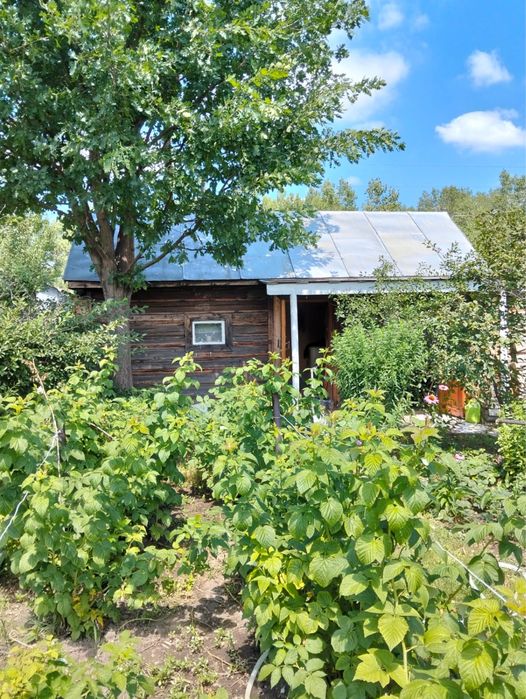 Продам дачу, район поселка Каменный карьер,