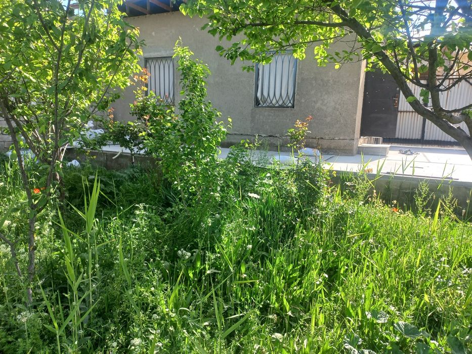 Motrit yue uchska 6 sotik