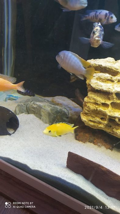 Продам грунт  в аквариум