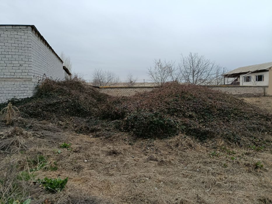 Уй чотилади 15 сотих