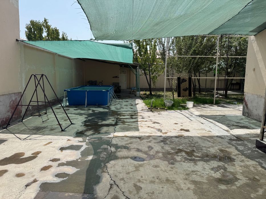 Сергелида уй сотилади