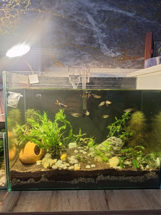 Продам Аквариум 32 литра!