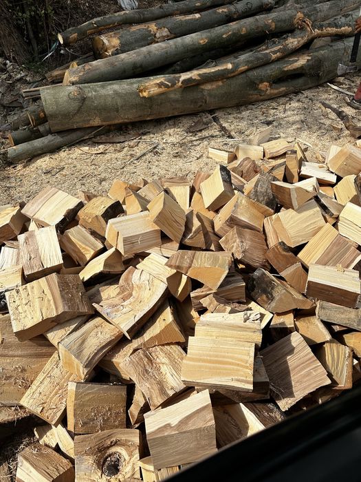 Vand Lemn de foc FAG !