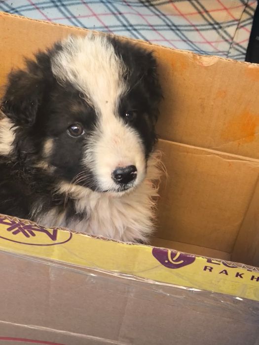 Очень красивые,классные мальчишки!