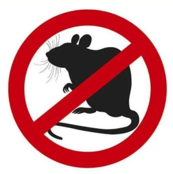 Tarakan,sichqon,kalamush dori