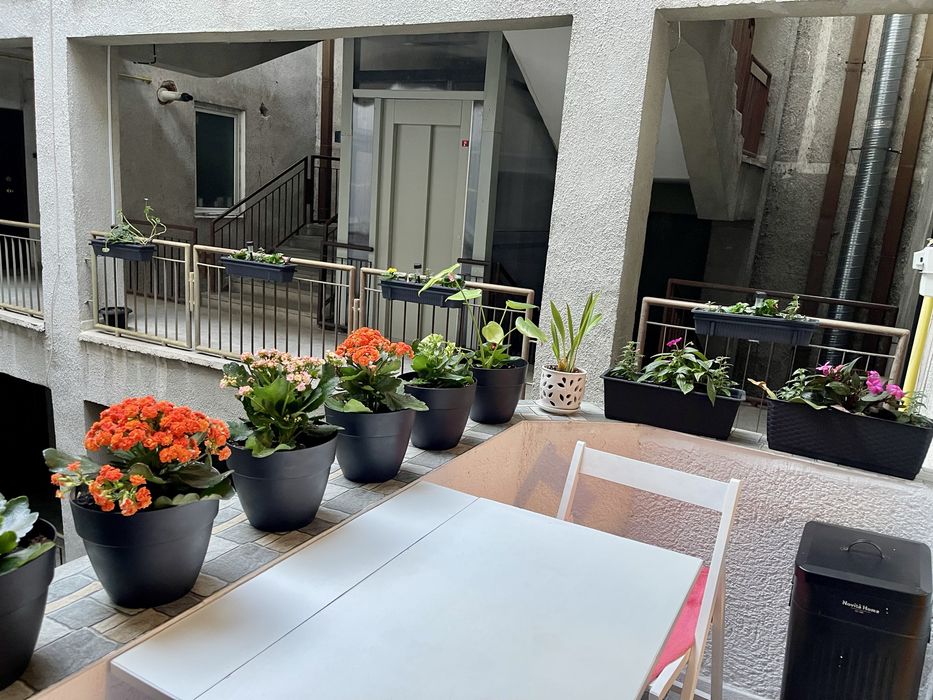 UNTOLD - Închiriez apartament 3 camere ultracentral Cluj-Napoca