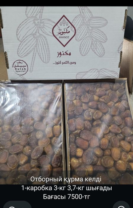 Феник Суккари...