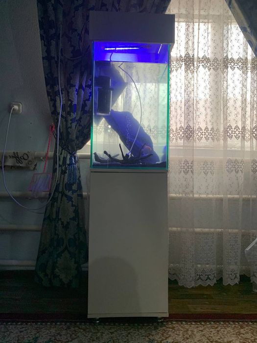 Аквариум  700.000 сум