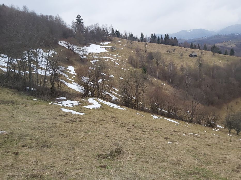Teren de vânzare