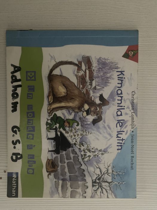 Детская книга на французском