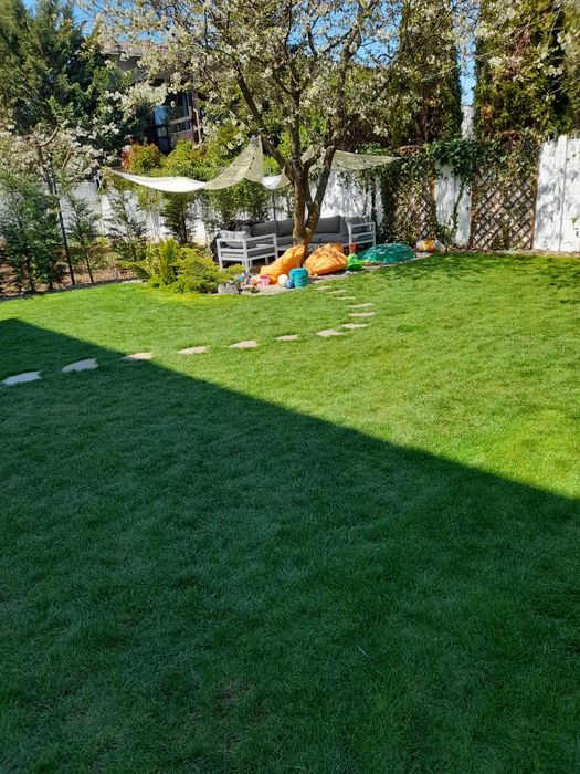 Gazon rulou 35 lei/mp MONTAJ INCLUS