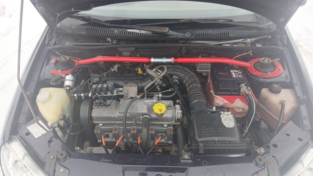 Калина в отличном состоянии