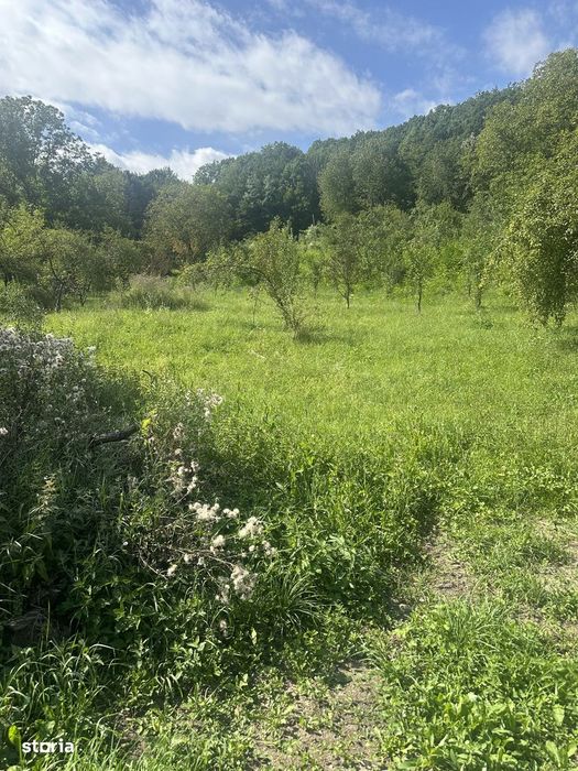 Telega - casa - teren 13000 mp/8000mp pădure - 170000 Euro