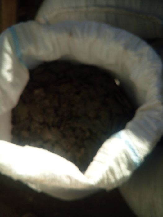 Strot de floarea soarelui