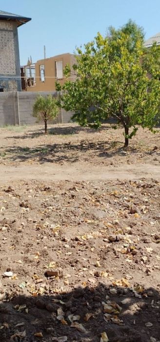 Олим Полвон Земля 5 соток по ниже рыночной цене