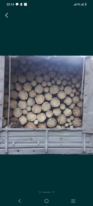 Дрова сосна чурками