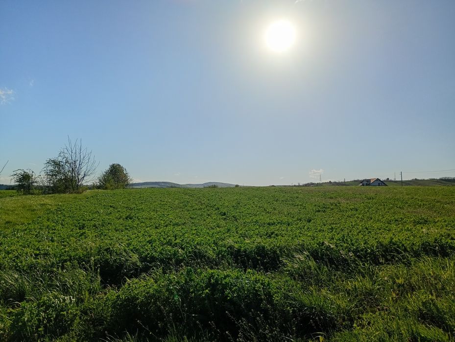 Teren de vânzare