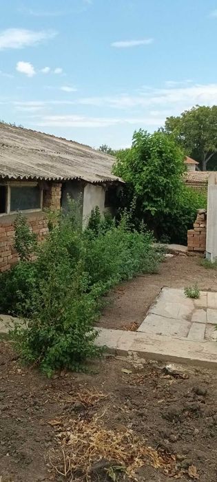 Продава се Парцел в с. Захари Стояново, Област Добрич - 1500 кв.м за 18 €/кв.м - Снимка #5