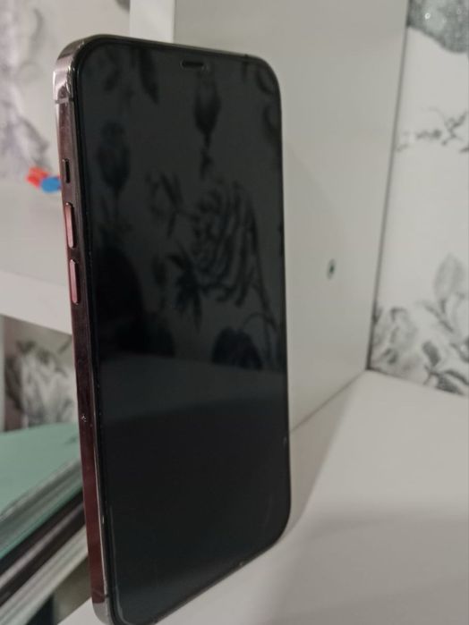Iphone 12 pro max