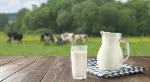 Ешкінің сүті! Козье молоко