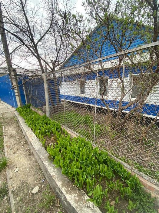 Продам дом в центре города