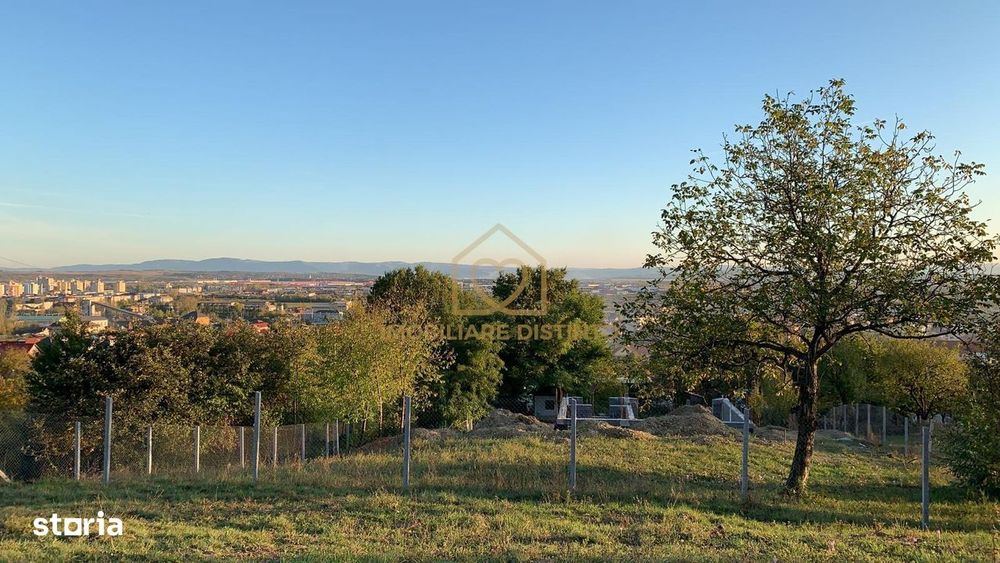 Teren 24 de ari zona Miron Costin