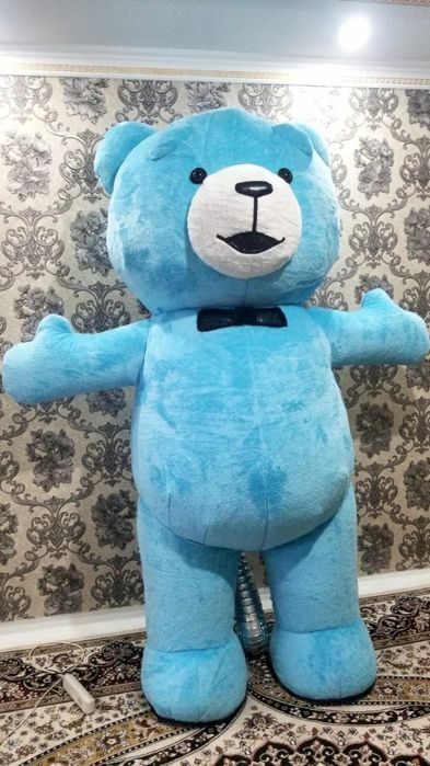 Айиклар сотилади янги биринчи ку́л